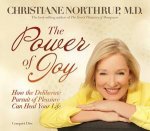 The Power of Joy How the Deliberate Pursuit of Pleasure can Heal your  Life