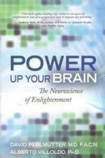 Power Up Your Brain The Neuroscience of Enlightenment