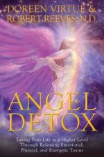 Angel Detox Taking Your Life to a Higher Level Through Releasing Emotional Physical and Energetic Toxins
