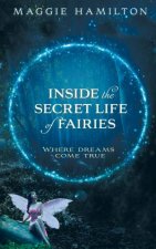 Inside The Secret Life Of Fairies Where Dreams Come True