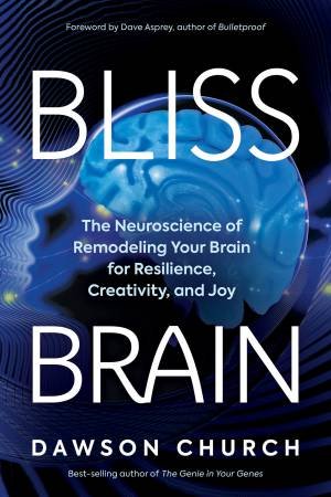 Bliss Brain by Dawson Church