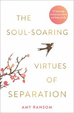The Soul-Souring Virtues Of Separation by Amy Ransom