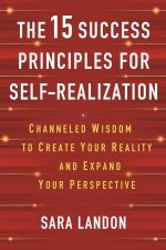 The 15 Success Principles for SelfRealization