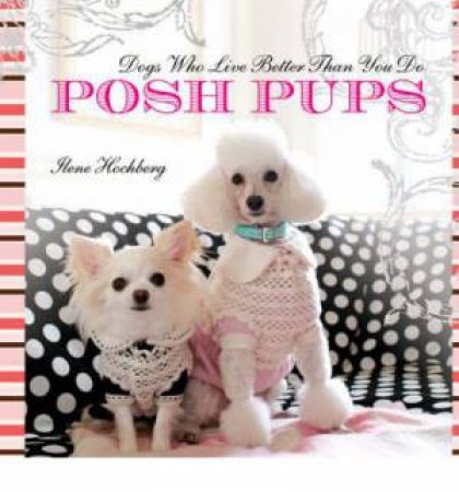 Posh Pups by Various