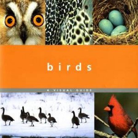 Macmillan Visual Guide: Birds by Macmillan