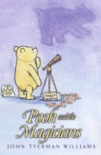 Pooh And The Magicians