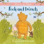 Pooh And Friends A Touch And Feel book