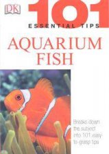 Aquarium Fish 101 Essential Tips