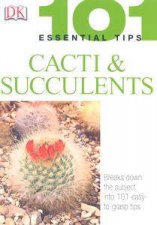 Cacti  Succulents 101 Essential Tips