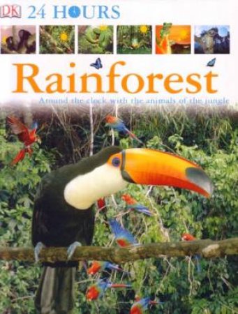 24 Hours In The Rainforest by Dorling Kindersley