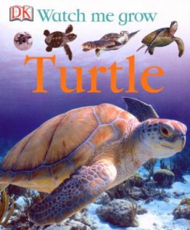 DK Watch Me Grow: Turtle by Dorling Kindersley