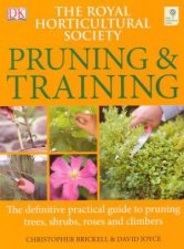 RHS Pruning  Training