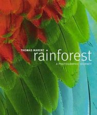 Rainforest A Photographic Journey