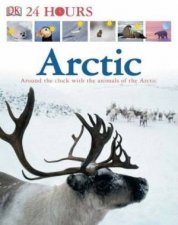 24 Hours In The Arctic Around The Clock With The Animals Of the Arctic