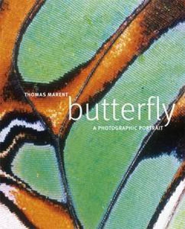 Butterfly: A Photographic Portrait by Thomas Marent