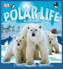 Polar Life 6 Amazing PopUp Scenes