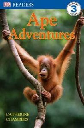 Ape Adventures by Catherine Chambers