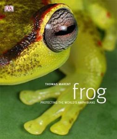 Frog by Thomas Marent