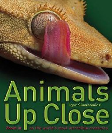 Animals Up Close by Igor Siwanowicz