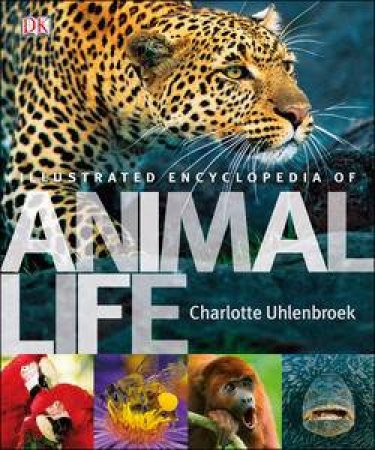 Illustrated Encyclopedia of Animal Life by Charlotte Uhlenbroek