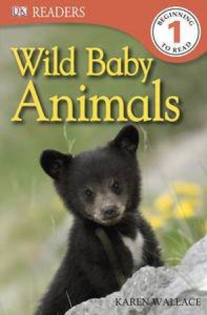 Wild Baby Animals DK Reader Level 1 by Various