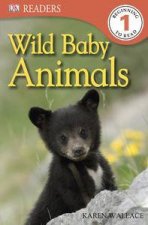 Wild Baby Animals DK Reader Level 1