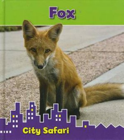City Safari: Fox by Isabel Thomas