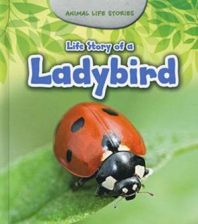 Animal Life Stories: Ladybird by Charlotte Guillain