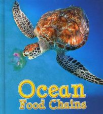 Food Chains Ocean