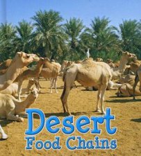 Food Chains Desert
