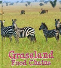 Food Chains Grassland