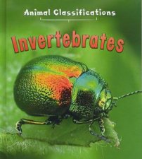 Animal Classifications Invertebrates