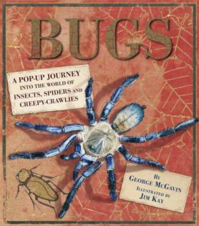 Bugs Pop-up by George McGavin & Jim Kay