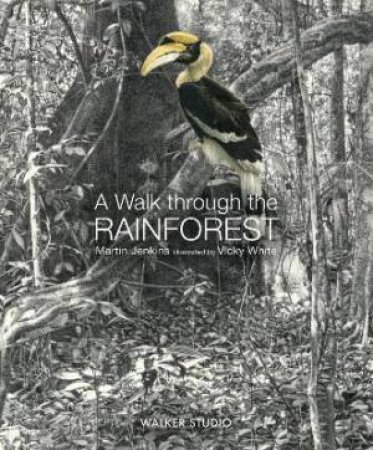 A Walk Through The Rainforest by Martin Jenkins & Vicky White