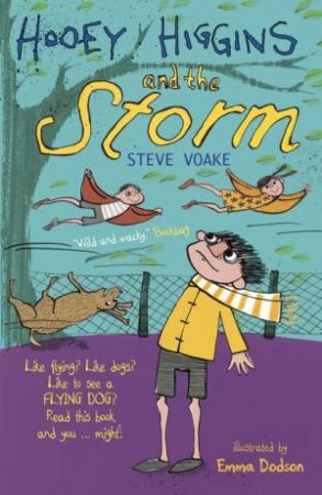 Hooey Higgins and the Storm by Steve Voake & Emma Dodson