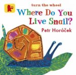 Where Do You Live Snail
