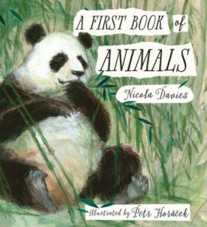 A First Book of Animals by Nicola Davies & Petr Horacek