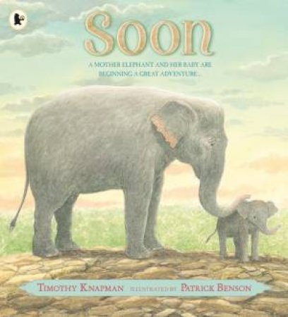 Soon by Timothy Knapman & Patrick Benson