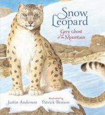 Snow Leopard Grey Ghost Of The Mountain