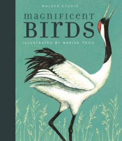 Magnificent Birds by Narisa Togo