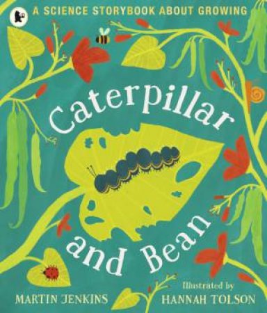 Caterpillar And Bean by Martin Jenkins & Hannah Tolson