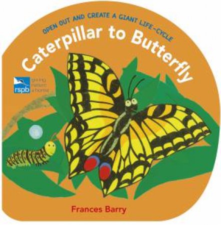 Caterpillar To Butterfly by Frances Barry