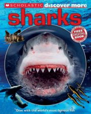 Discover More Sharks