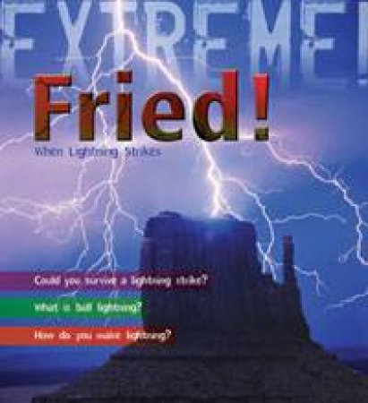 Fried!: When Lightning Strikes by Douglas McTavish