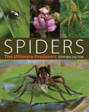 Spiders The Ultimate Predators