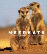 Meerkats