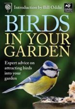 Birds in Your Garden