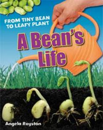 White Wolves Non-fiction: Bean's Life by Angela Royston
