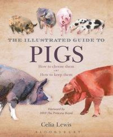 Illustrated Guide to Pigs by Celia Lewis