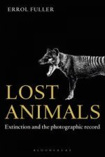 Lost Animals